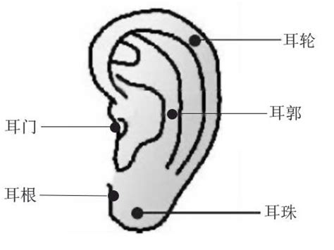 耳根有痣男|耳朵痣的位置与命运图解大全